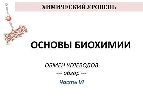 ОБМЕН УГЛЕВОДОВ - часть 6 - Просто о сложном - Химия